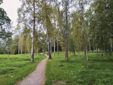 Parkta gündüz ağaçlarda 