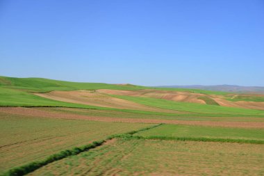 Gündüz yeşil alan 