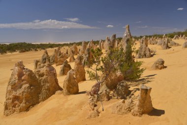 Kapadokya 'nın doğal manzarası, hindi