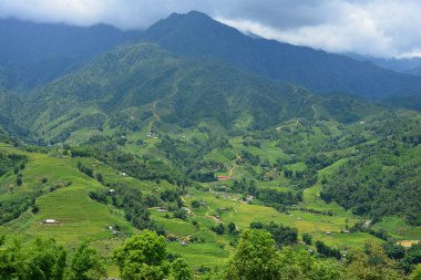 Dağ manzarası gündüz görünümü 