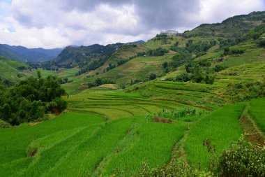 Dağ manzarası gündüz görünümü 