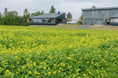 Gündüz yeşil alan 