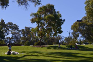 Batı Avustralya 'daki botanik bahçesinde dinlenen insanlar