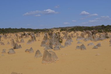 Gündüz vakti çöl manzarası 
