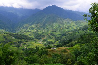 Dağ manzarası gündüz görünümü 