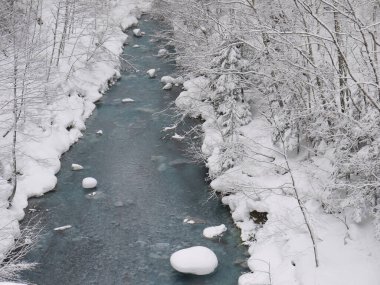 Karla kaplı ağaçlarla kaplı kış arkaplanı