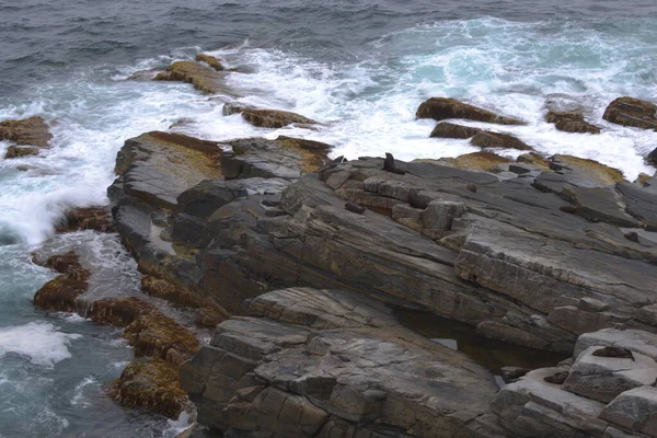 美丽的海景 自然背景 — 图库照片