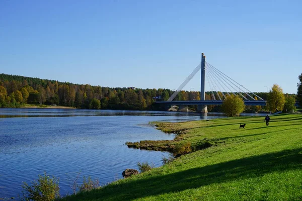 Paysage Avec Une Rivière Jour — Photo