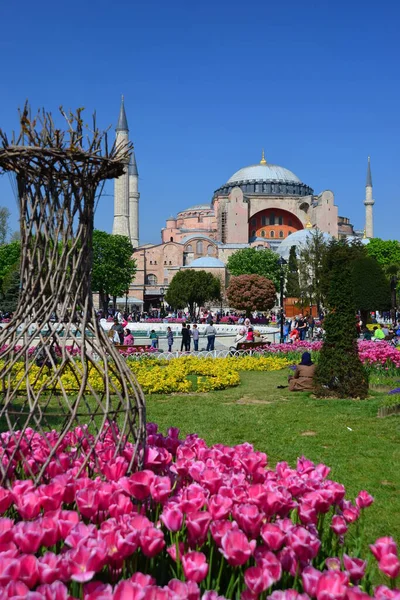 Moschee Istanbul Türkei — Stockfoto