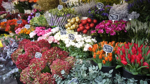 Utomhus Utsikt Över Blommor Som Växer Dagen — Stockfoto