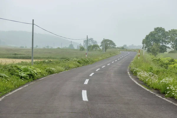 Camino Asfalto Durante Día — Foto de Stock