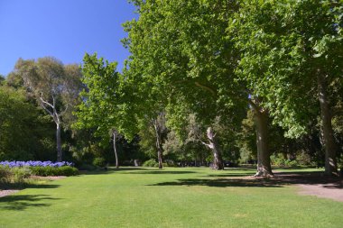 Baharda Adelaide Botanik Bahçesi, Güney Avustralya