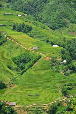 Dağ manzarası gündüz görünümü 