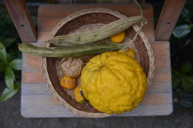 Hasır kasede toplanmış meyveler.