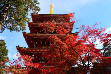 Temple  Building at daytime, japan clipart