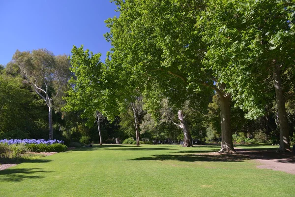 Jardín Botánico Adecuado Primavera Sur Australia — Foto de Stock