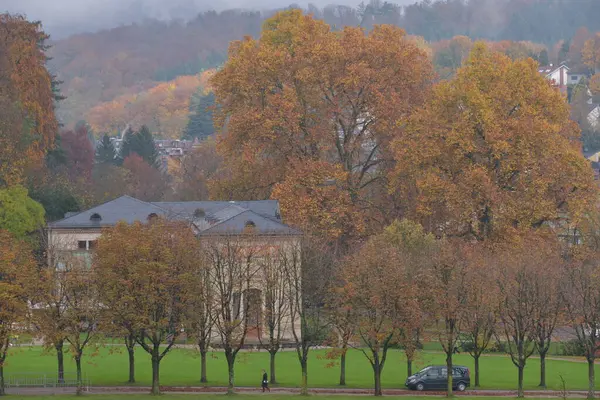 Bunte Herbstbäume Tag — Stockfoto