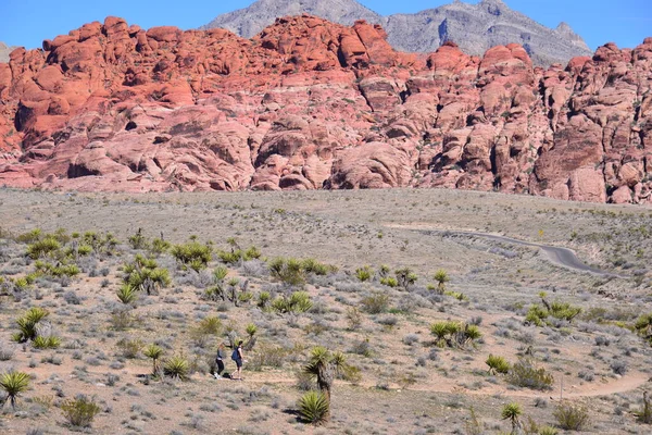 Visão Diurna Deserto Durante Dia — Fotografia de Stock