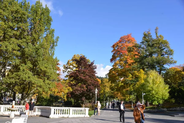 Stadtpark Tschechien — Stockfoto