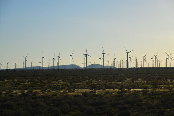 Wind turbines on field of United States