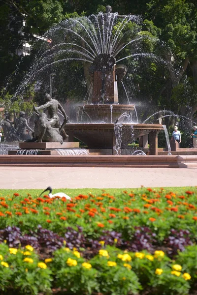 Park Mit Blutigen Blumen Und Funktionierendem Brunnen — Stockfoto