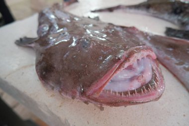 Hırvatistan 'da yiyecek kapatılıyor