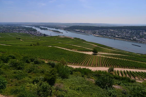 Landscape Germany Rhine — Stock Photo, Image