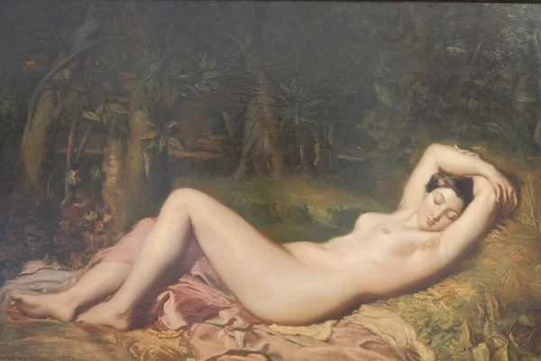 フランス プロヴァンスの裸の女性 — ストック写真