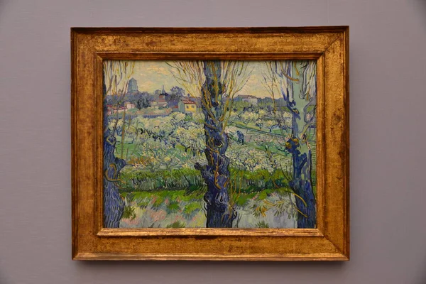 Van Gogh Blommande Fruktträdgård Med Utsikt Över Arles — Stockfoto