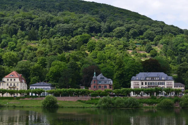 Paisaje Alemania Heidelberg — Foto de Stock