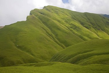 Kel Dağ Çayırı Tayvan