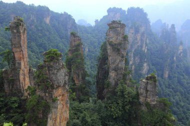 Hunan Zhangjiajie Tianzi Dağı Xihai Tepesi Ormanı