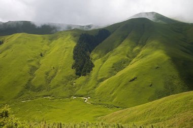 Kel Dağ Çayırı Tayvan