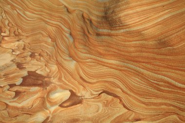 Yeni Taipei Taipei Wanli Kaplumbağa Kükremesi Kıyı Kaya Yapısı Tayvan