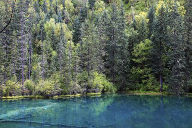 Sichuan Jiuzhaigou Ölümsüz Havuzu Qinglong Denizi