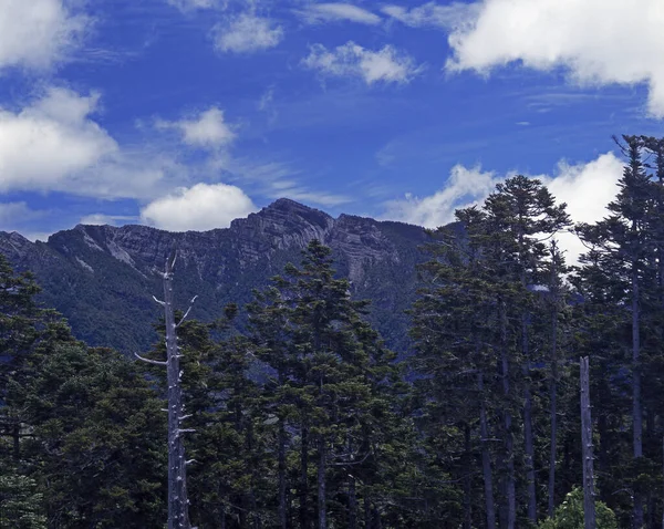 Вид Горы Пинтиан Тайвань — стоковое фото
