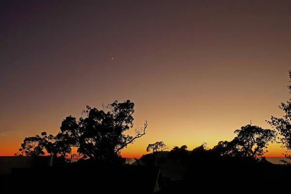 Xue Nationalpark Xiaguang Träd Skugga Taiwan — Stockfoto