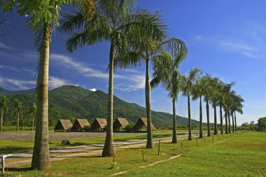 Tayvan Hualien Ruisui çayır manzarası