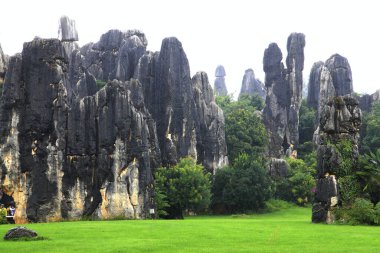 Yunnan Kunming Küçük Taş Ormanı manzaralı yer Shifeng