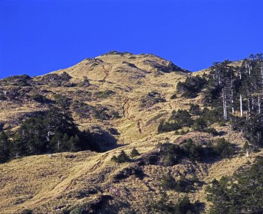 Tayvan Nantou Hehuan Dağı Dongfeng Tayvan