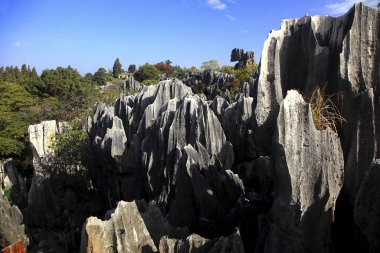 Yunnan Kunming Taş Ormanı Manzarası