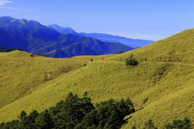Qilai Li Dağı dağ sırtı Tayvan otlağı yolu.
