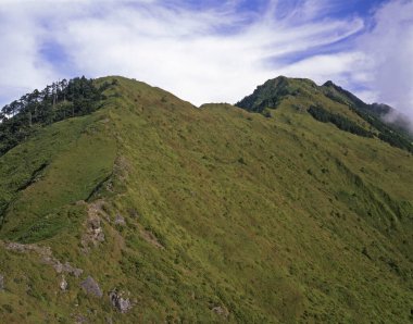 Yüksek ana doruk noktası Tayvan 'da olabilir