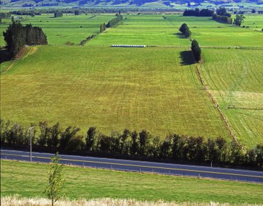 Yeni Zelanda Güney Adası Henley Kırsal Çiftliği