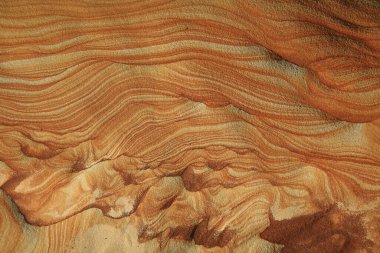 Yeni Taipei Taipei Wanli Kaplumbağa Kükremesi Kıyı Kaya Yapısı Tayvan