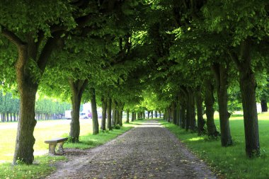 Fransa Paris Meudon Kraliyet Kalesi Bahçesi