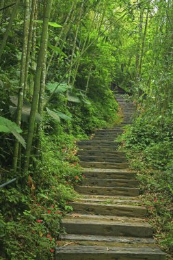 Tayvan Chiayi Ruili Yuantan Deresi yolu