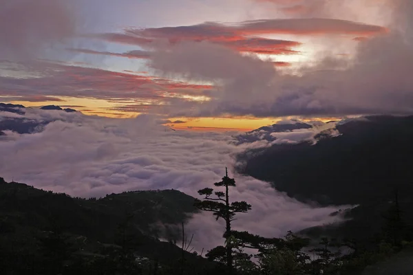 Shou Montanha Fazenda Manhã Luz Mar Nuvens Taiwan — Fotografia de Stock