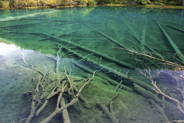 Sichuan Jiuzhaigou Piscina Inmortal Mar Qinglong — Foto de Stock