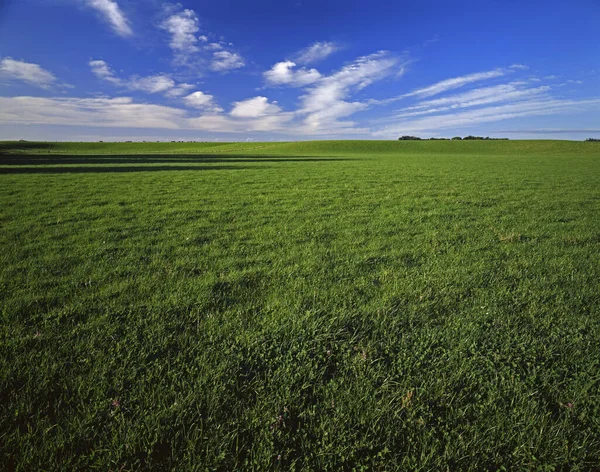 Nueva Zelanda Isla Del Sur Clinton — Foto de Stock